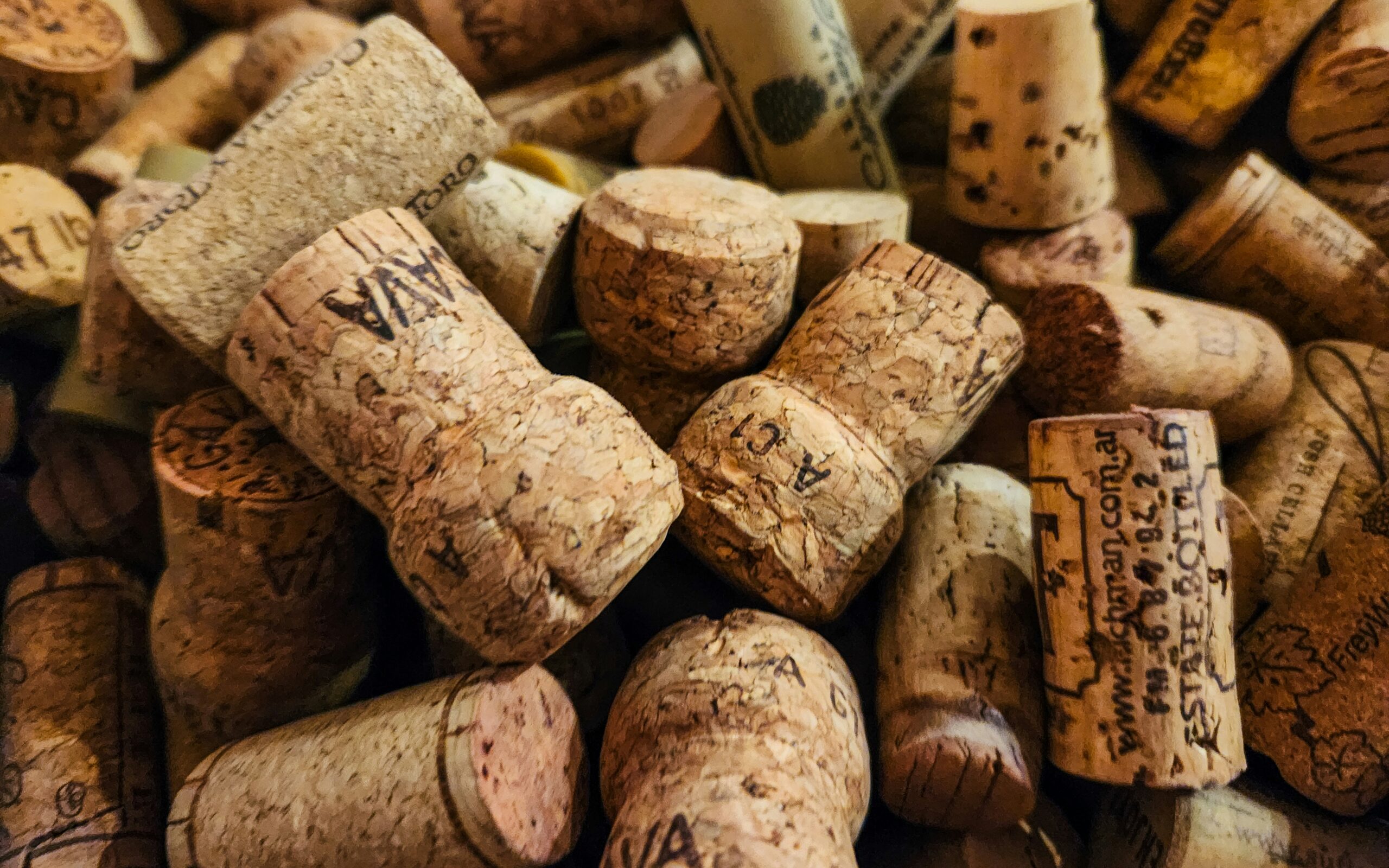 Close up of sparkling wine corks. Photo by zoshuacolah at Unsplash