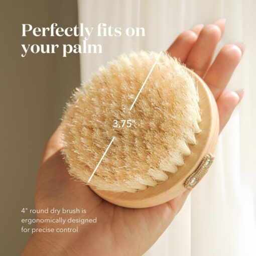 Bare Botanics Palm Size Dry Body Brush - Image 5
