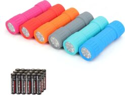 EverBrite Mini 9-LED Flashlight with Lanyard