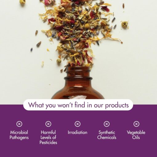 Now Foods Clear the Air Essential Oil Blend - Image 5