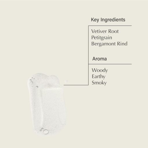Aesop Reverence Aromatique Exfoliating Hand Wash - Image 4