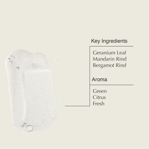 Aesop Reverence Aromatique Hand Wash - Geranium Leaf - Image 3